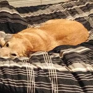 Meet your Posher, William j